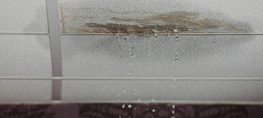 Leckortung bei Feuchtigkeit und Wasserschaden