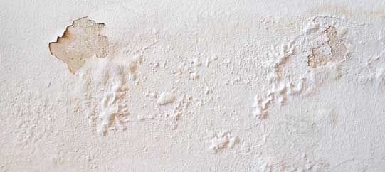 Feuchte Wand durch Wasserschaden